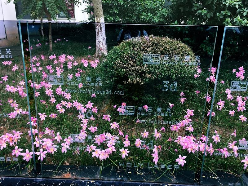 image001.jpg